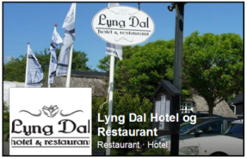 De Kreative Mellemrums samarbejdspartner, Lyng Dal Hotel og Restaurant, i Gl. Rye